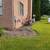 TNM trees and landscaping LLC 20 thumbnail