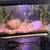 5 Gal Tank with Everything 1 thumbnail