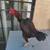 Rooster 2 thumbnail