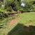 Grass 3 thumbnail