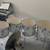 PDP Concept Maple 7-piece drum set with cymbals and hardware 3 thumbnail