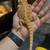 Juvenile Bearded Dragon 1 thumbnail