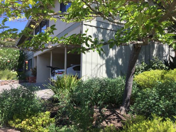 $2,850 / 2br - 1000ft2 - SAN RAFAEL, WALK TO EVERYTHING, GREAT STORAGE (san rafael)64181610498562120