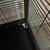 Double critter nation cage 6 thumbnail