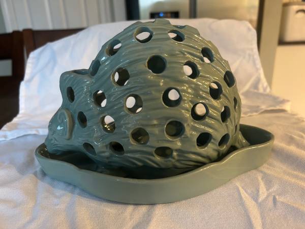 Wedgwood hedgehog bulb pot 1