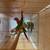 Green check  conure red factor(macaw, cockatoo, eclectus ,african gray 8 thumbnail