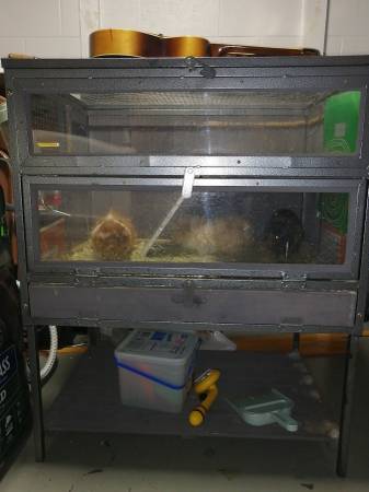 Need a Good Home64308918804225123