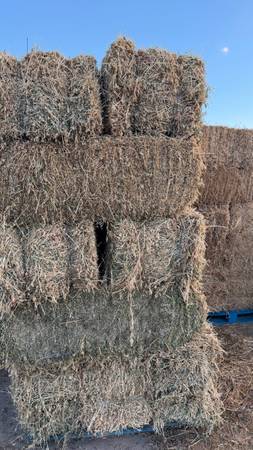 2- strand Quality Alfalfa 1