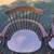 Set of 4 Nichols and Stone Windsor Chairs. They are Solid and Sturdy. 6 thumbnail