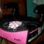 BOOSTER CHAIR EvenFlo Big Kid Kitchen Eat Car Seat Base Purple Black 2 thumbnail