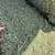Alfalfa Hay 4 thumbnail