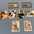 Coin Collection 5 thumbnail