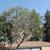Erick's Tree Service 2 thumbnail