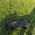 Cane Corso 5 thumbnail