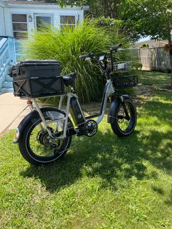 Rad Runner Plus electric bike 1