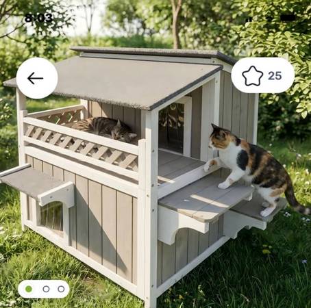 Kitty Condo 1