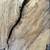 9’ Slabmized Beech Slab 7 thumbnail