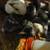 chicks- Australorp 3 thumbnail