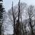 K2 Tree service/ Logging 7 thumbnail