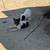 Heeler pups 6 thumbnail