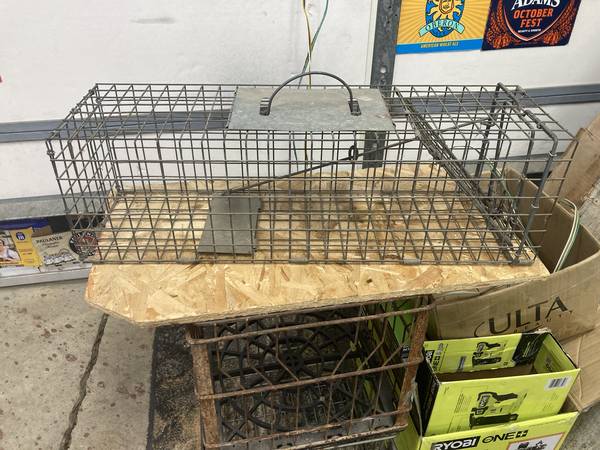 Have A Heart Squirrel Trap 1