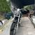 2012 Sportster 1200 5 thumbnail