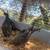 Moutian quail trio 3 thumbnail