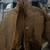 Carhart coat 4 thumbnail