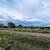 Concho Valley, AZ 1/4 Acre Lots /w utilities 6 thumbnail