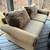 Bassett Rolled Arm Sofa 1 thumbnail