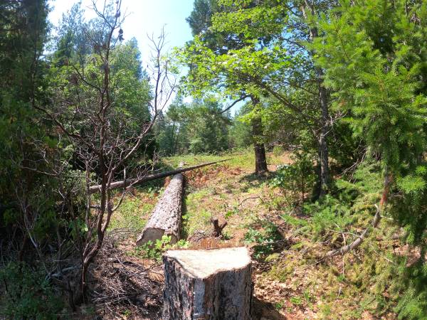 $19,900 Cheap land! 5 acres vacant land Montgomery Creek, CA with mature trees (Montgomery Creek, CA)63972531645698121
