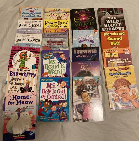 Beginner Chapter Books 1