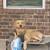 Rehoming our golden retriever 3 thumbnail