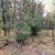 40+ Acres Near Wisconsin Dells 11 thumbnail