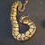 2 Ball Pythons - Male Banana Enchi Clown/ Female Super Pastel 2 thumbnail