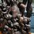 19.5" Hand Carved Wooden Balinese Sculpture Of Fisherman 4 thumbnail