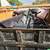 L&S JUNK REMOVAL 4 thumbnail