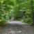 80 Acre Retreat on Lake Anne 12 thumbnail