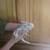 Bearded dragon 1 thumbnail