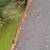 FALL GUTTER CLEANING AND PROTECTION 6 thumbnail