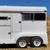 2 Horse Trailer OBO or Trade 8 thumbnail