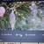 Save your Trees, Shrubs, Bushes and Flowers 3 thumbnail