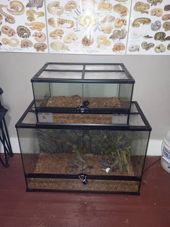 Exo terra cages 1