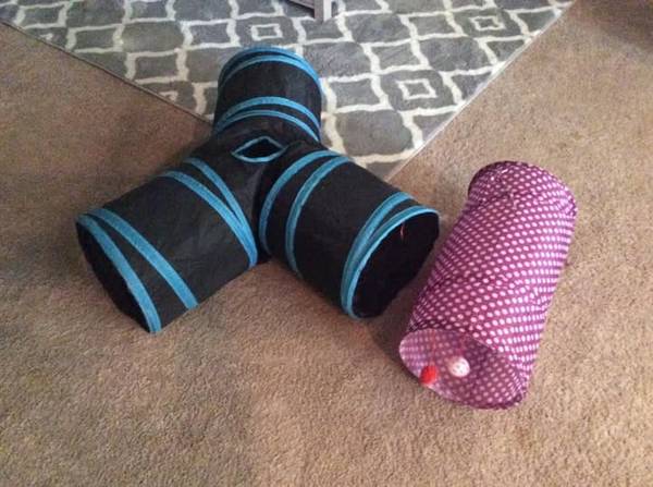 Misc. pet items (Battle Creek)528432556986214408
