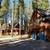 GRAEAGLE CRAFTSMAN CHATEAU APARTMENT 6 thumbnail