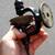 Antique/Vintage Benchtop or Wall Mount Belt Drive Small Drill or Clamp 1 thumbnail