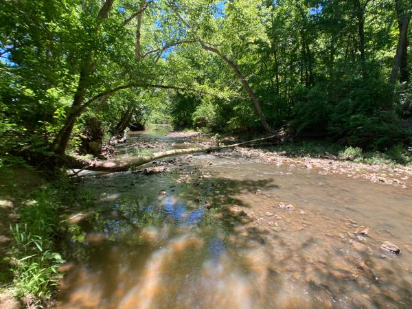$1 20 Acre Auction - Fulton63845292792323120