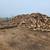 Oak firewood 2 thumbnail