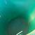 Industrial  trash/recycle can 4 thumbnail