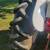 Nice FORD 8N Tractor for Sale 12 thumbnail